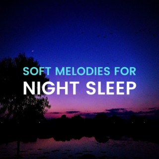 Soft Melodies for Night Sleep