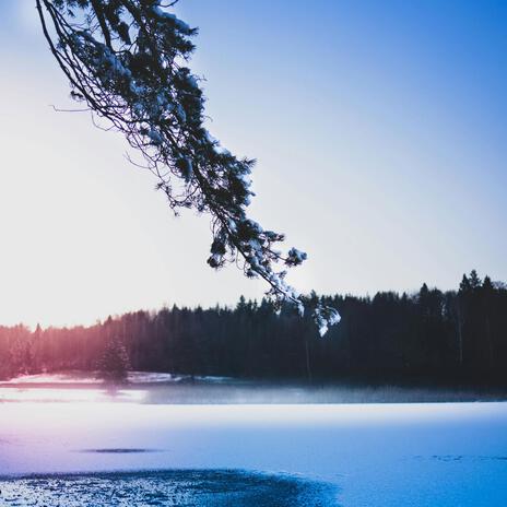 Silent Frost on the Lake