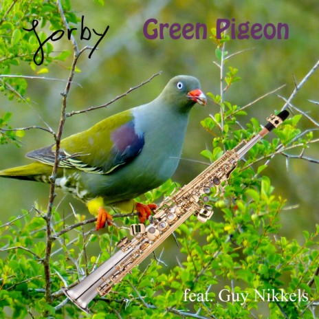 Green Pigeon ft. Guy Nikkels