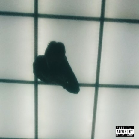 Sky Hat - Алкаш MP3 Download & Lyrics | Boomplay