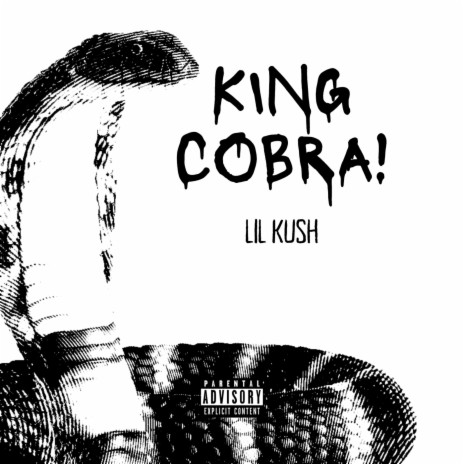 KING COBRA! | Boomplay Music