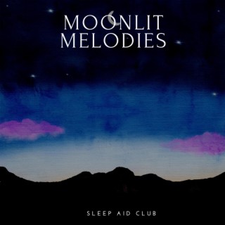 Moonlit Melodies: Soothing Ambient Sleep Music