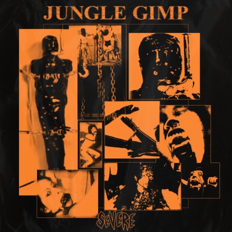 Jungle Gimp | Boomplay Music