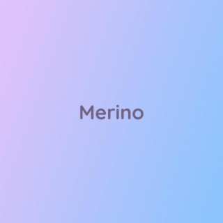 Merino