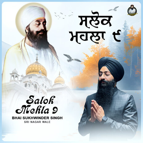 Salok Mehla 9 | Boomplay Music