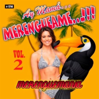 Ay Mama... Merengueame, Vol. 2