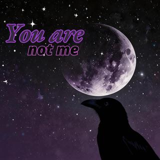 You Are Not Me