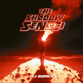 The Shadow Sensei