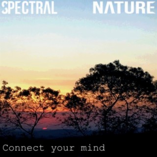 Spectral Nature