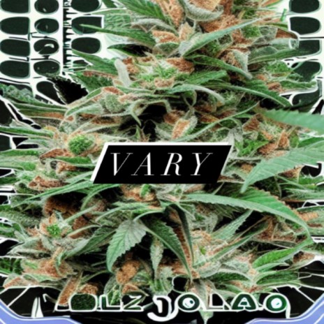 Vary ft. Burnout MacGyver | Boomplay Music