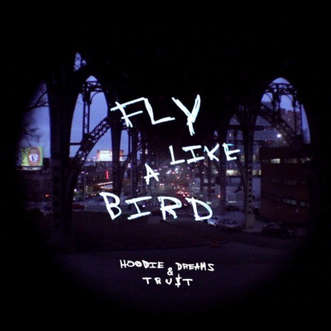 Fly Like A Bird ft. Hoodie Dreams | Boomplay Music