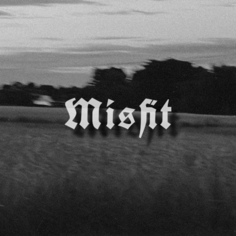 Misfit ft. ANT3K