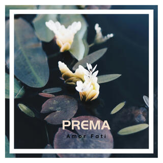 Prema