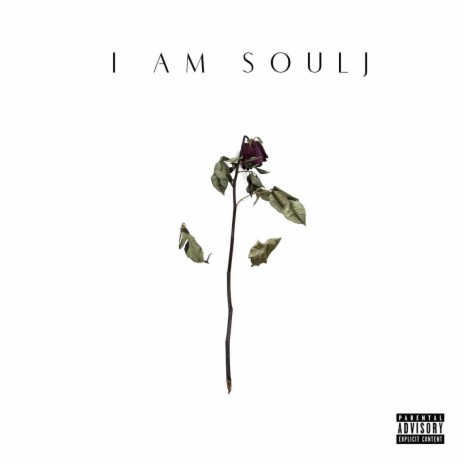 I Am SoulJ (Intro) | Boomplay Music