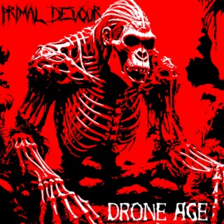 Drone Age (Single) lyrics | Boomplay Music