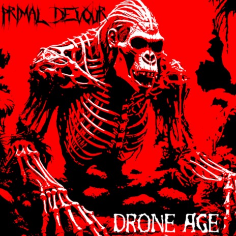 Drone Age (Single) | Boomplay Music