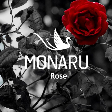 Rose | Boomplay Music