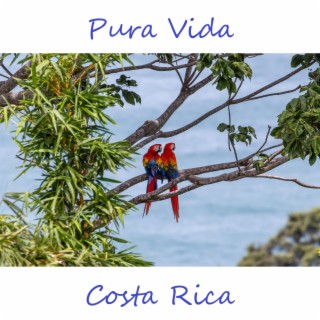 Pura Vida