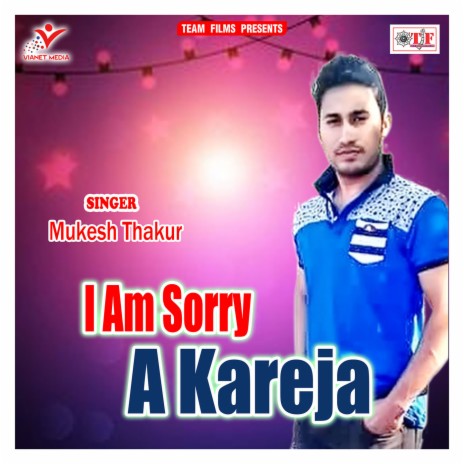 I Am Sorry Mor Kareja | Boomplay Music