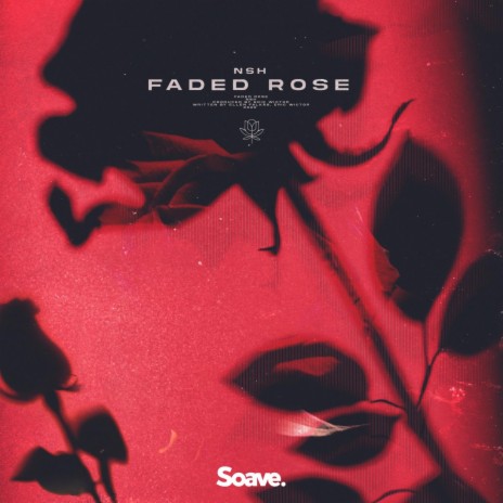 Faded Rose | Boomplay Music