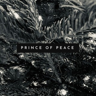Prince of Peace ft. Chaplaincy CCCU lyrics | Boomplay Music