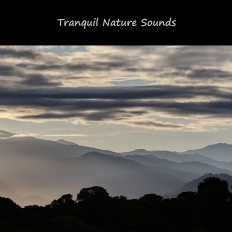 Tranquil Nature Sounds, Pt. 3