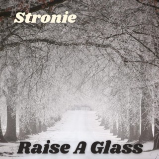 Raise a Glass lyrics | Boomplay Music