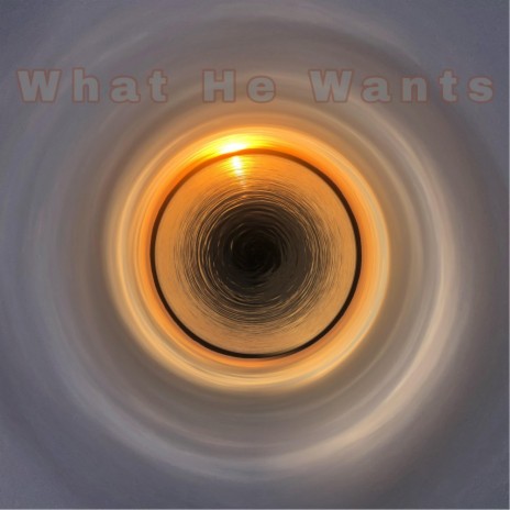 What He Wants | Boomplay Music