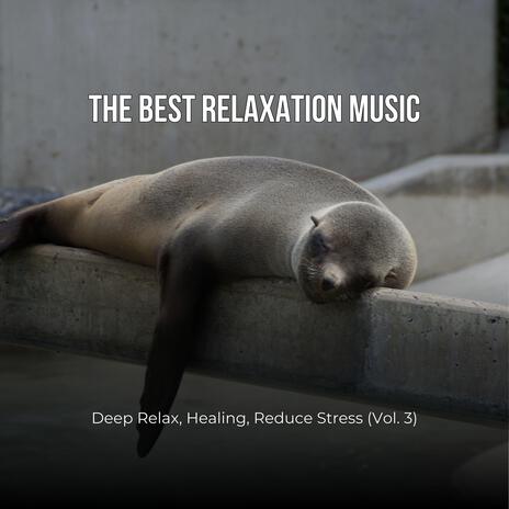 The Best Relaxation Music: Deep Relax, Healing, Reduce Stress, Vol. 3 | Boomplay Music