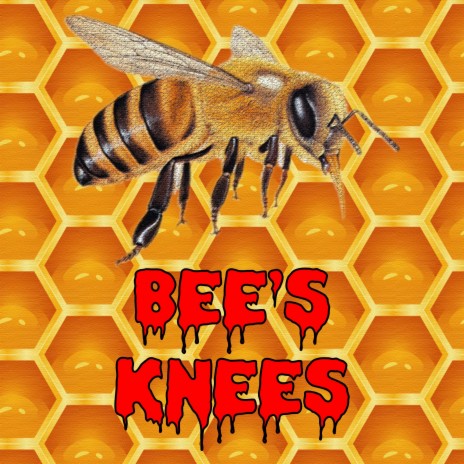 Bee's Knees | Boomplay Music
