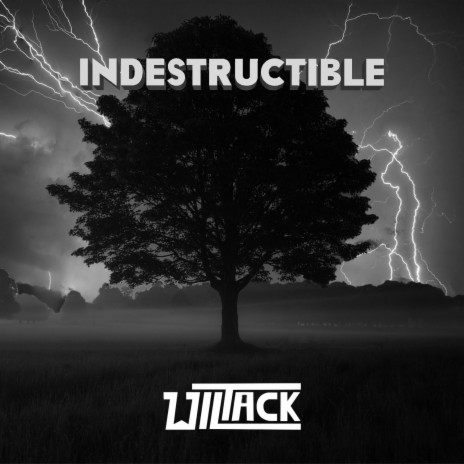 Indestructible | Boomplay Music