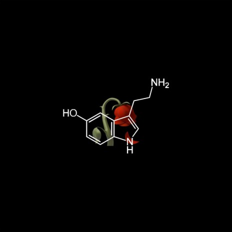 Serotonin Shawty ft. calito | Boomplay Music