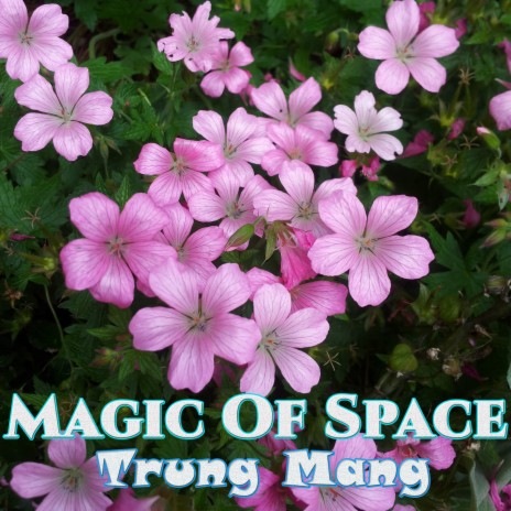 Magic Of Space