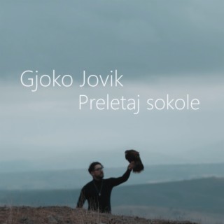 Preletaj Sokole