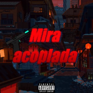 Mira acoplada