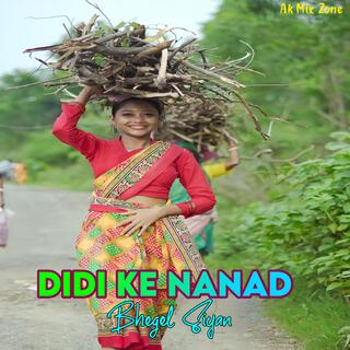 Didi Ke Nanad Bhegel Siyan 2.0 (Remix)