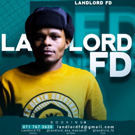 Landlord FD _-_ Colorful Lights | Boomplay Music