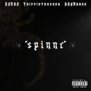 Spinne