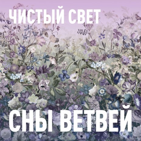 Чистый свет | Boomplay Music