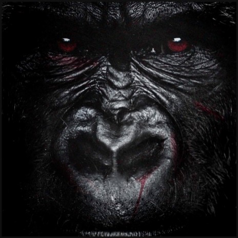 Gorilla Boy Anthem (Intro) | Boomplay Music