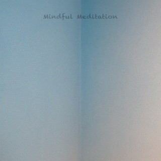 Mindful Meditation