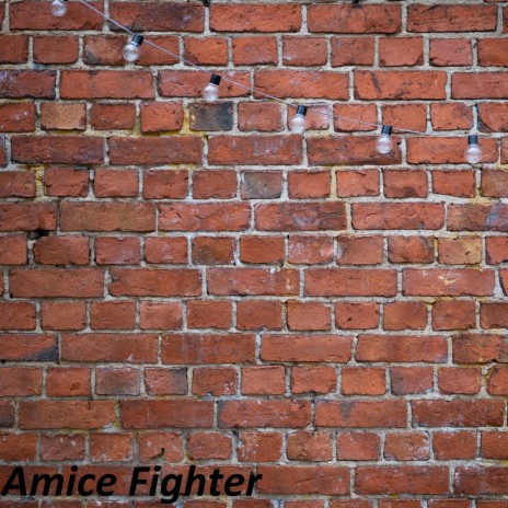 Amice Fighter
