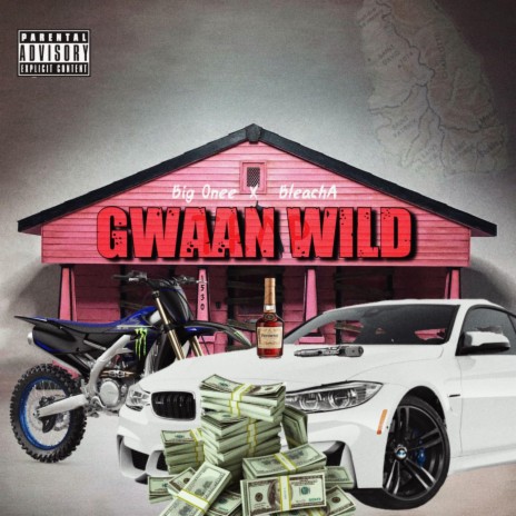 Gwaan Wild (Official Audio) ft. BleachA