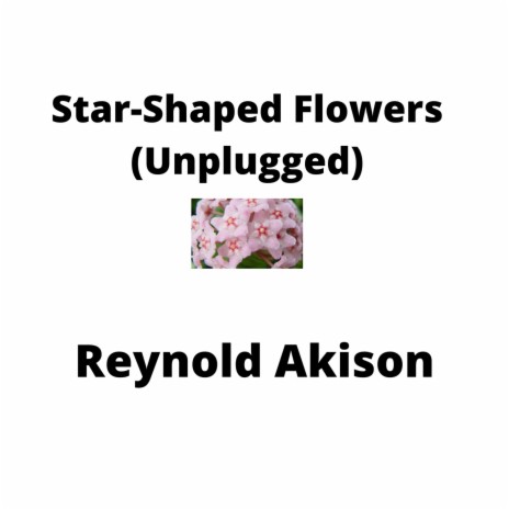 Star-Shaped Flowers