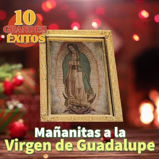 Mañanitas a la Guadalupana