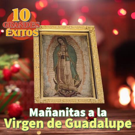 Gracias por los milagros Virgen de Guadalupe