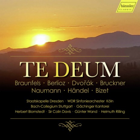 Dettingen Te Deum, HWV 283: No. 14, Vouchsafe, O Lord, to Keep Us This Day Without Sin ft. Barock Orchester Hannoversche Hofkapelle & Ulrich Stötzel | Boomplay Music