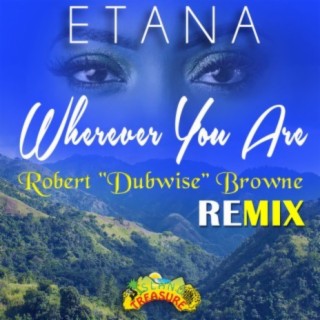 Wherever You Are Remix