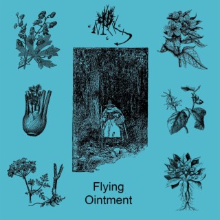 Flying Ointment