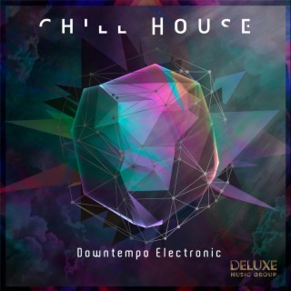 Chill House: Downtempo Electronic